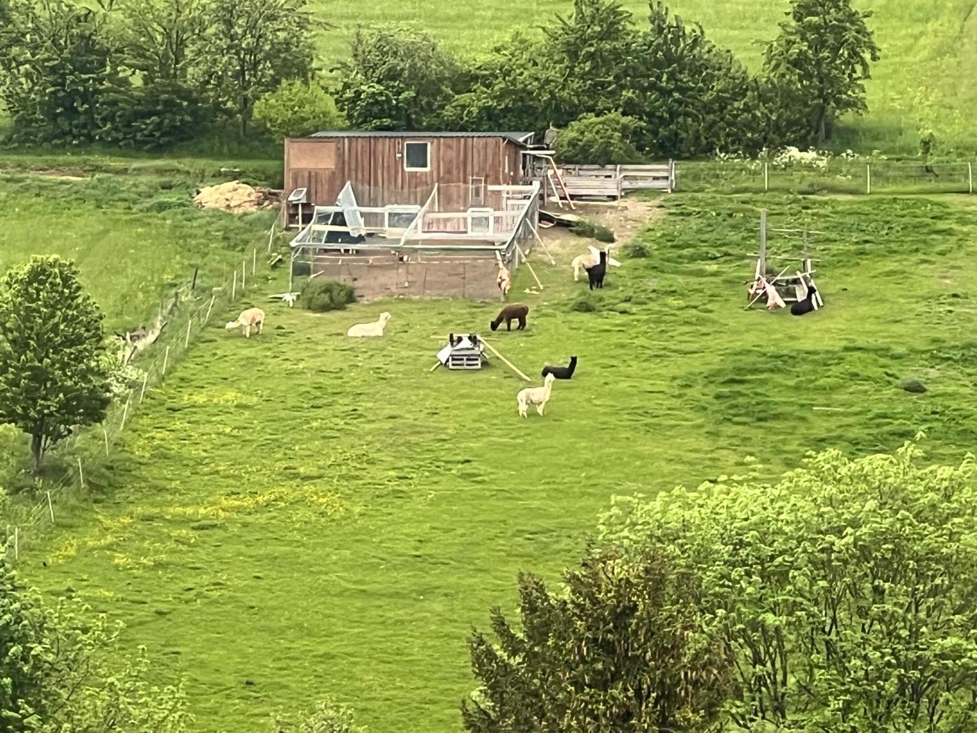 Appartement Gemuetliche 3-zimmer-wohnung Mit Panoramablick Und Kostenlosem Ueberdachten Parkplatz *